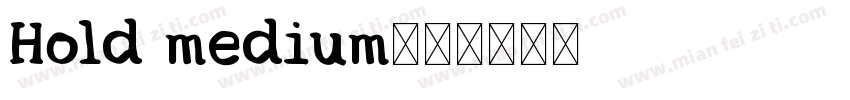 Hold medium字体转换